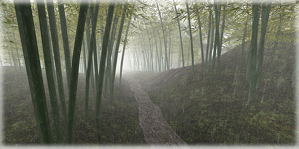 just a snap-the missing whale